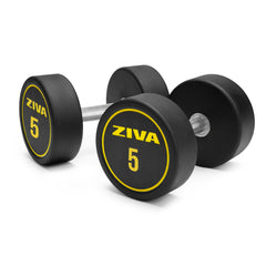 Par de Halteres - ZIVA Performance