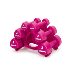 12 kg Dumbbell Set with Stand (Pink) - ZIVA Chic (Pairs 1, 2 and 3 kg)