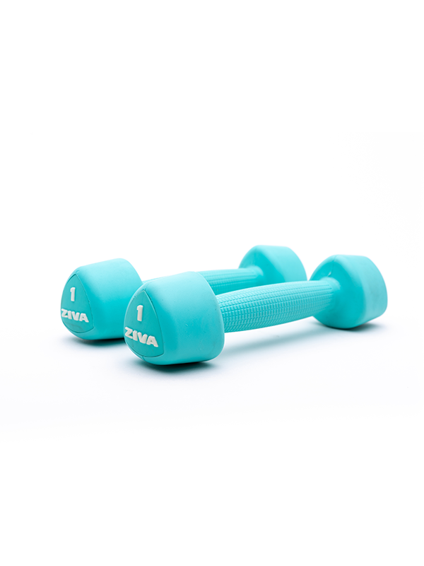 Pair of Steel Studio Hexagon Dumbbells (Turquoise) - ZIVA Chic