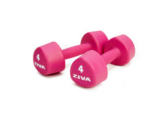 Pair of Studio Dumbbells (Pink) - ZIVA Chic