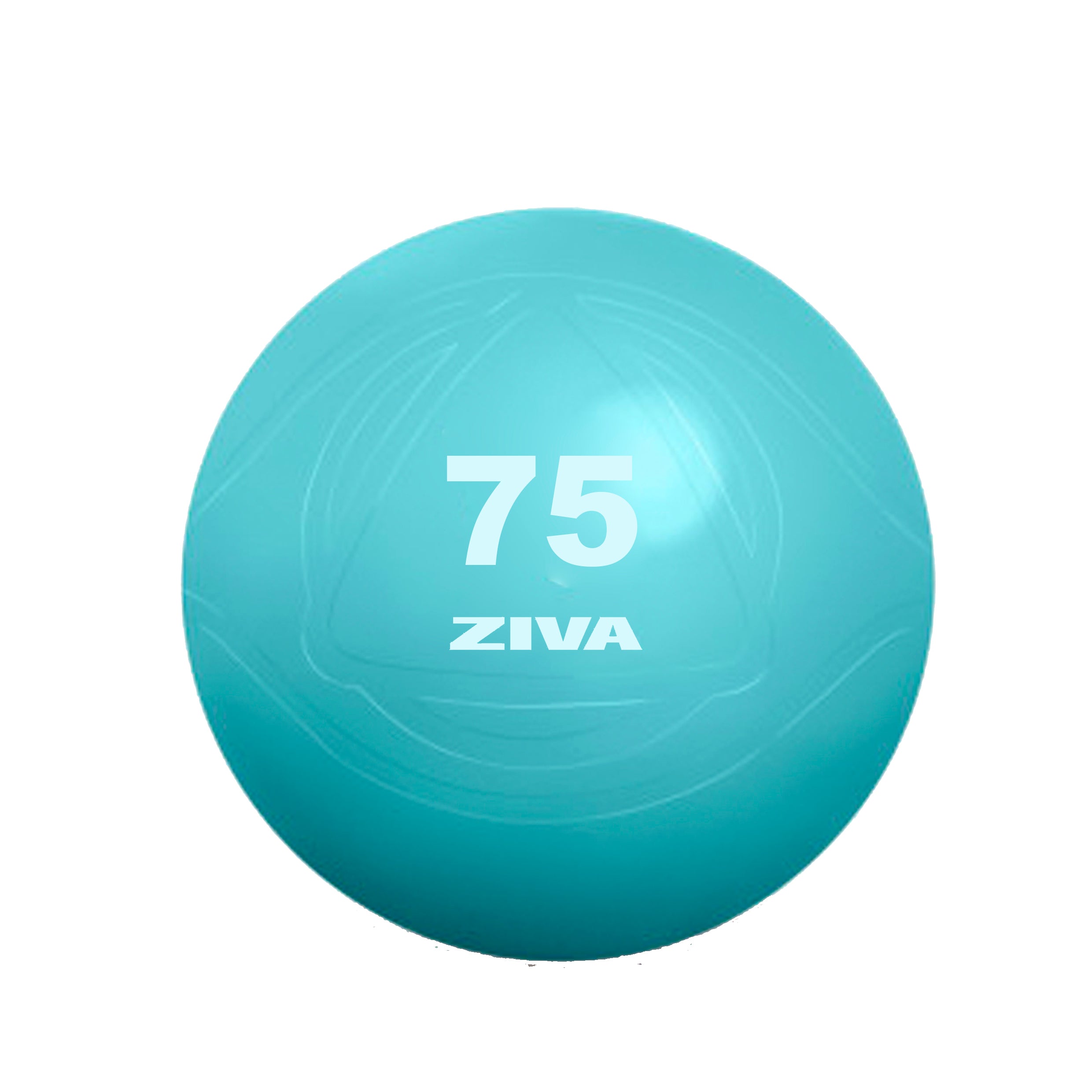 Ballon de Fitness (Turquoise) - ZIVA Chic