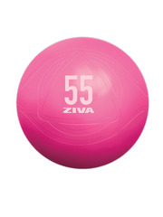 Ballon de Fitness (Rose) - ZIVA Chic