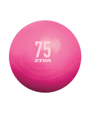 Ballon de Fitness (Rose) - ZIVA Chic