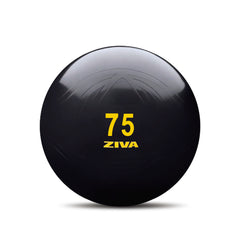 Ballon de Fitness (Noir) - ZIVA Classic