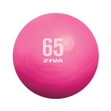 Fitness Ball (Pink) - ZIVA Chic